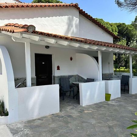 Villa Nikos Koukounaries Dış mekan fotoğraf