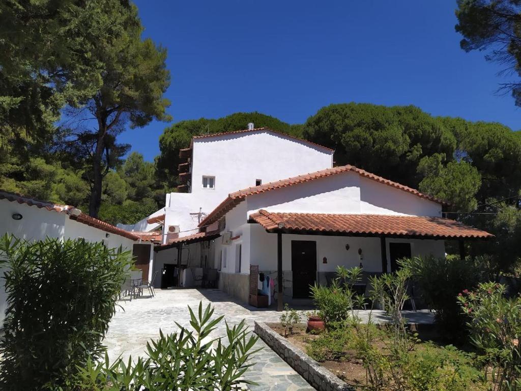 Villa Nikos Koukounaries Dış mekan fotoğraf