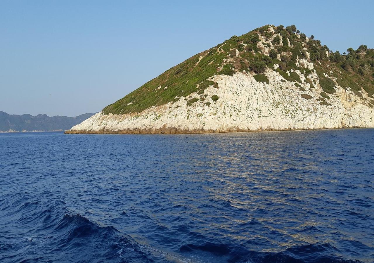 Villa Nikos Koukounaries Dış mekan fotoğraf