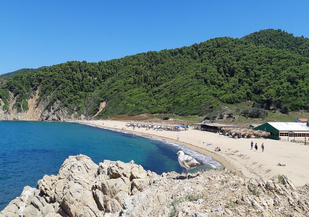 Villa Nikos Koukounaries Dış mekan fotoğraf